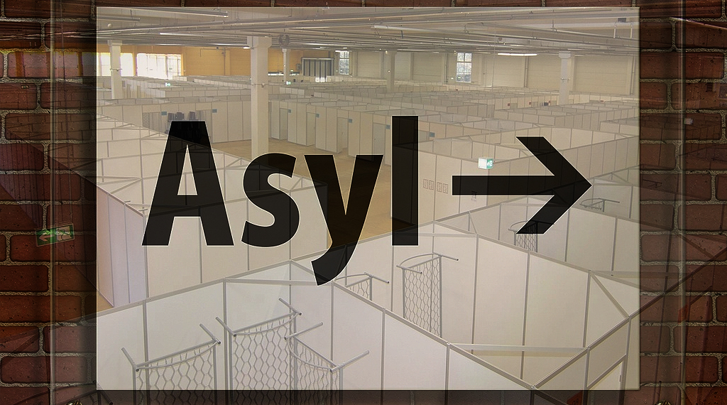 Asyl1