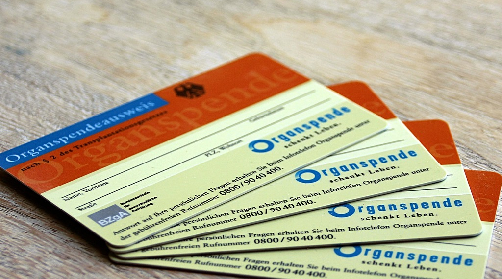 Organspende1