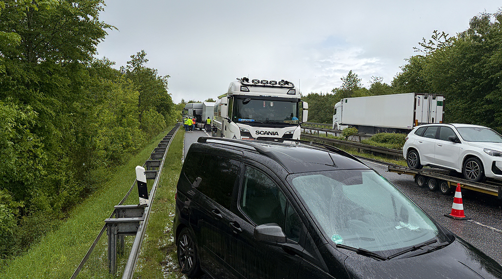 Vua66 hagel1
