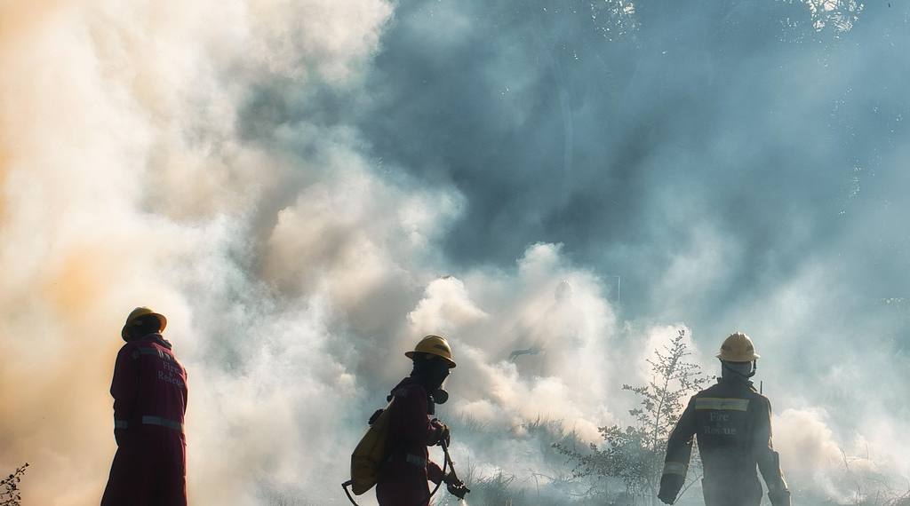 Waldbrand1